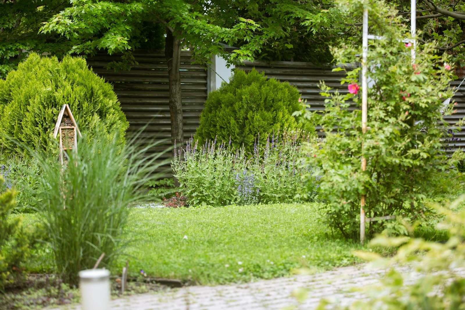 Landscaped backyard garden in Oshawa