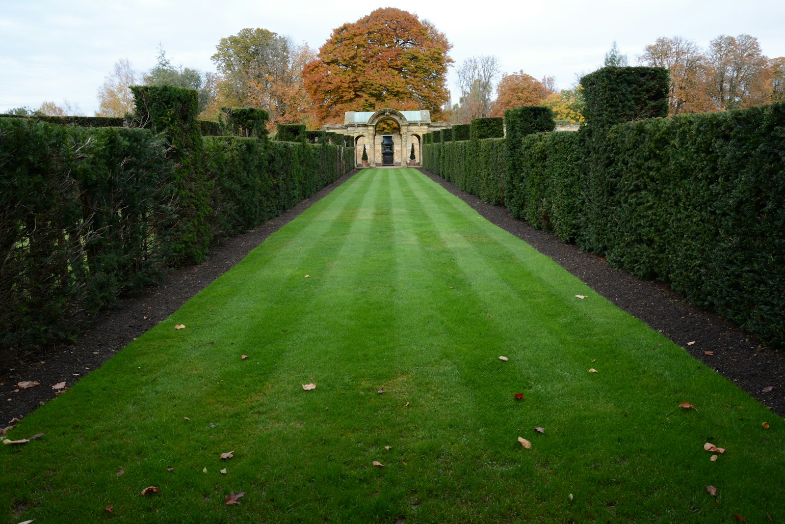 Neatly maintained green lawn in Oshawa