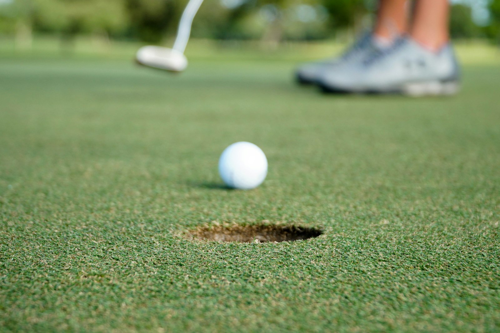 Backyard putting green in Oshawa