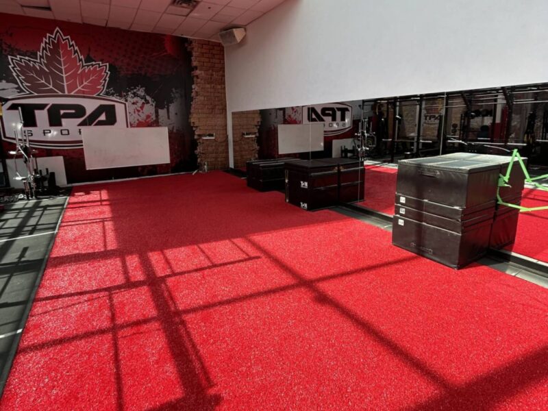 Indoor commercial turf
